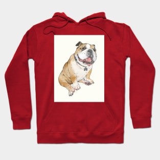 Bulldog Hoodie